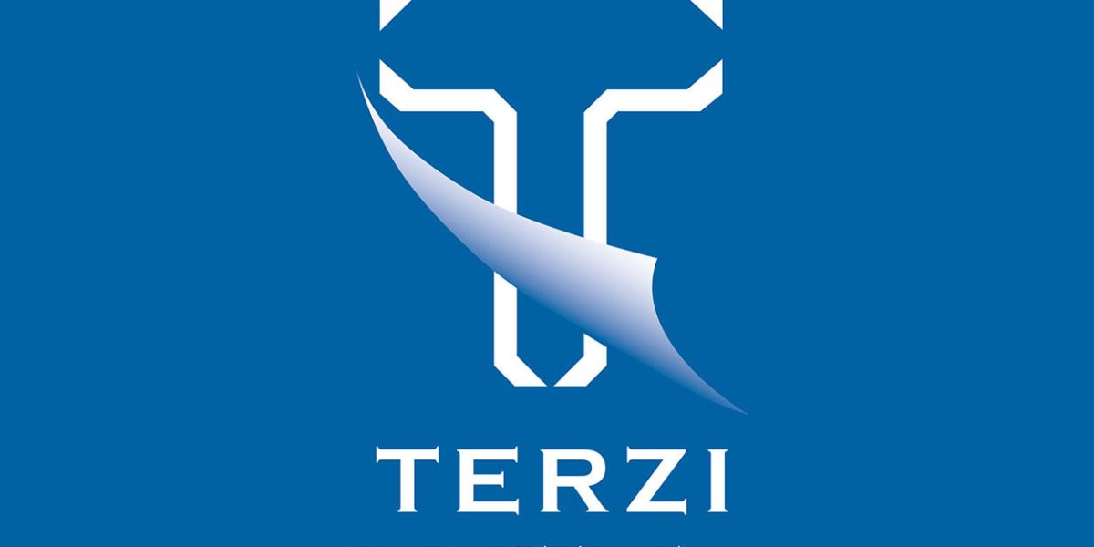 logo TERZI + loghini